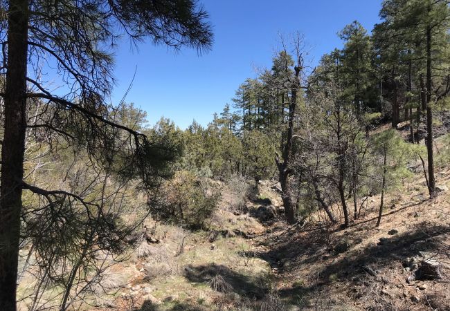 Cabin in Prescott - Timbertrail Lodge - Prescott Cabin Rentals