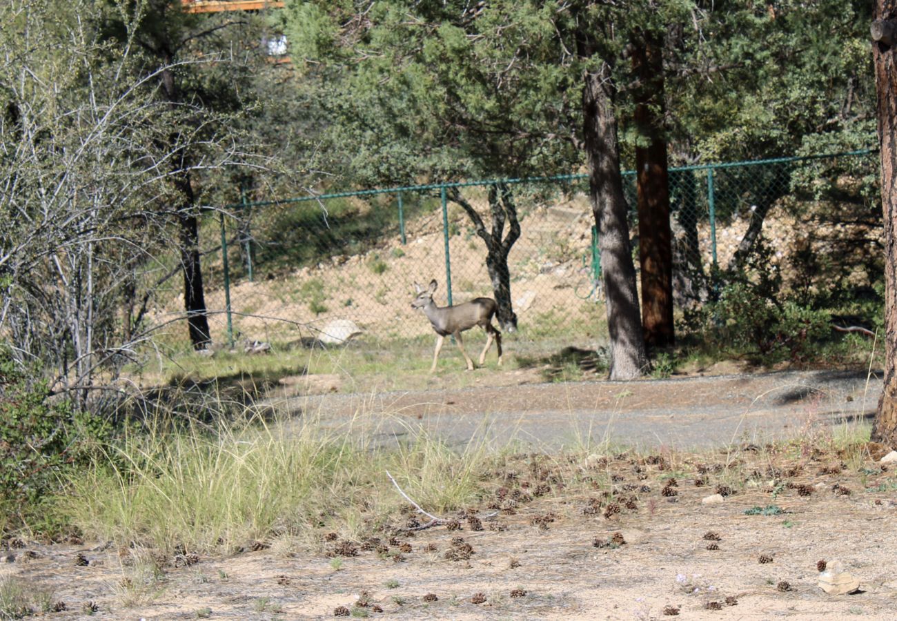 Chalet in Prescott - Skyview Chalet - Prescott Cabin Rentals