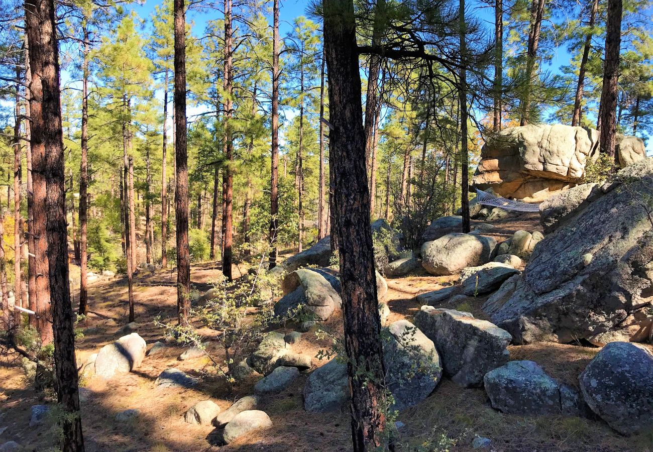 Cabin in Prescott - Bear Tree Lodge - Prescott Cabin Rentals