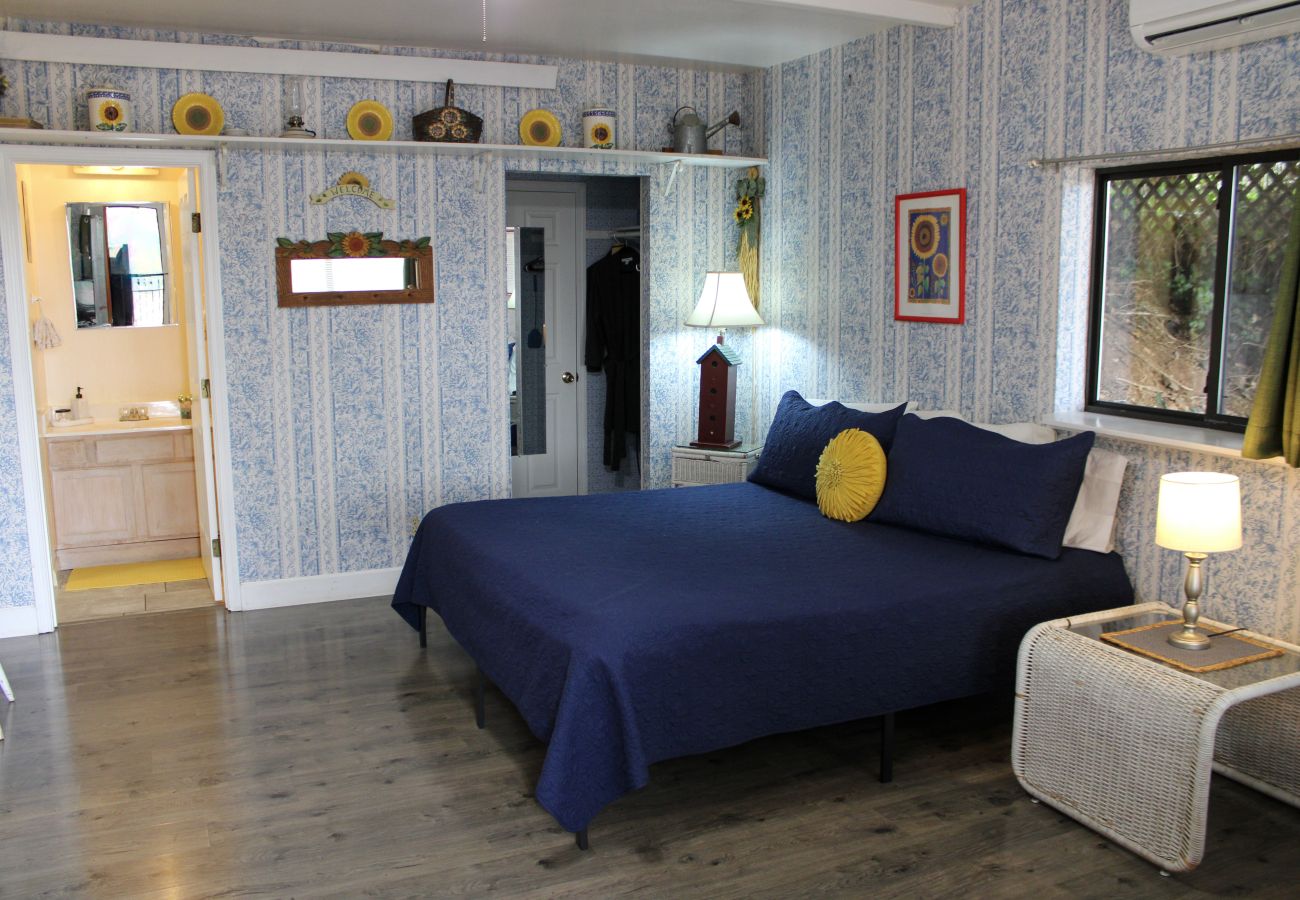 Studio in Prescott - Sunflower Room - Prescott Cabin Rentals
