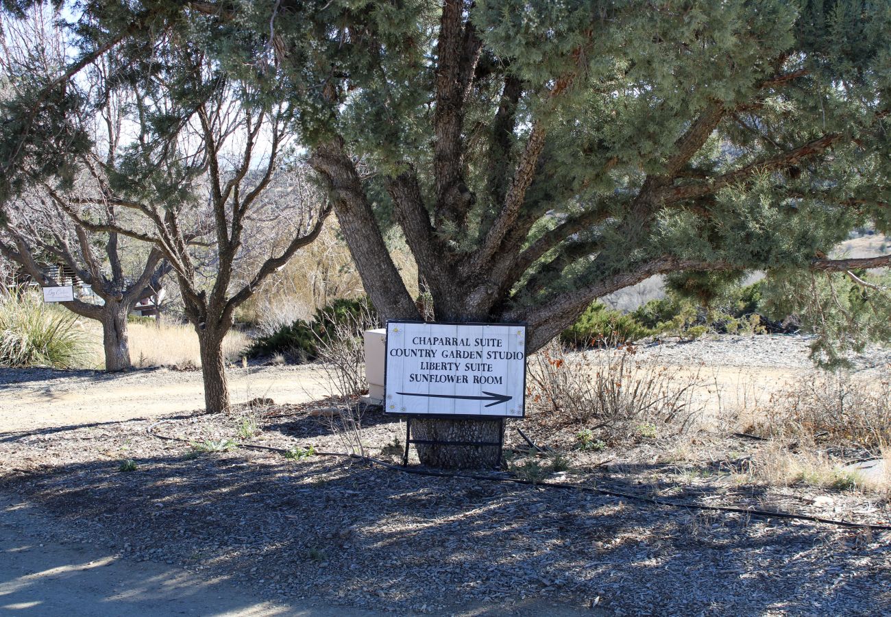 Studio in Prescott - Sunflower Room - Prescott Cabin Rentals